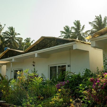 Whiteflower Resort Morjim Exterior foto