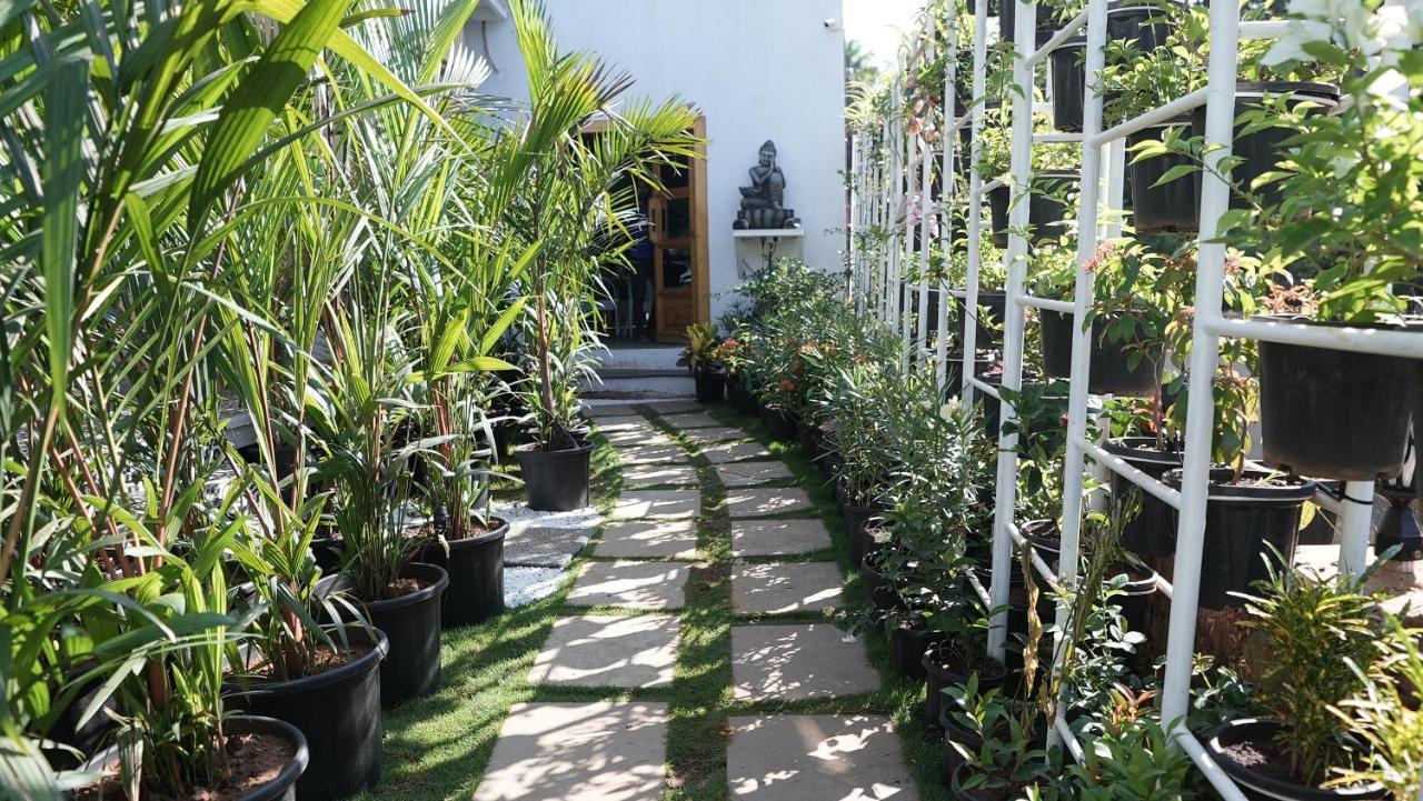 Whiteflower Resort Morjim Exterior foto
